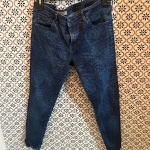 AG Adriano Goldschmied Blue Skinny Jeans